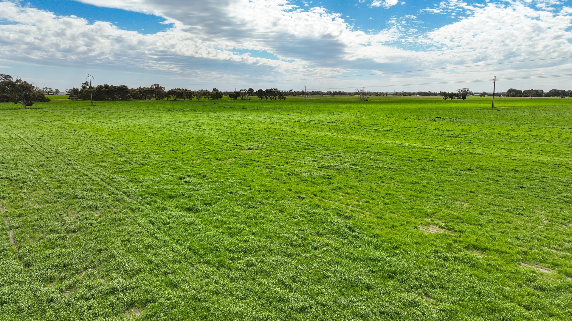 Additional image 24 of "Jacks" Sec 7 Schultz Road, Tintinara SA 5266