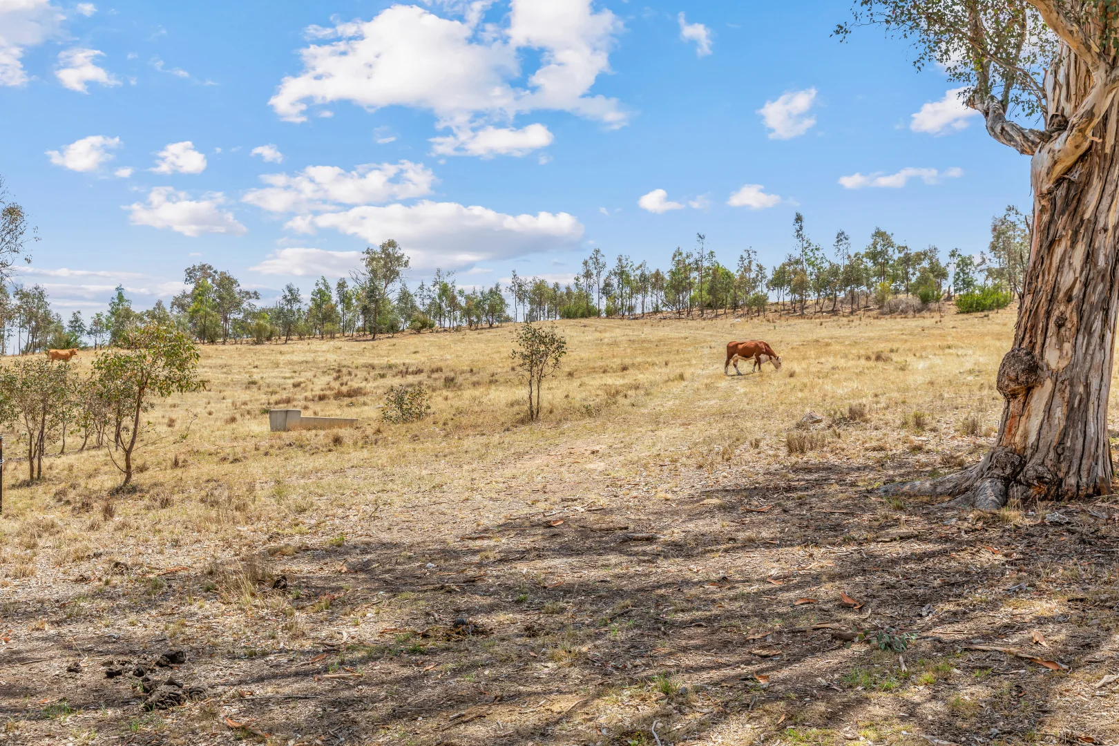 Additional image 23 of 748 Turondale Road, Duramana NSW 2795