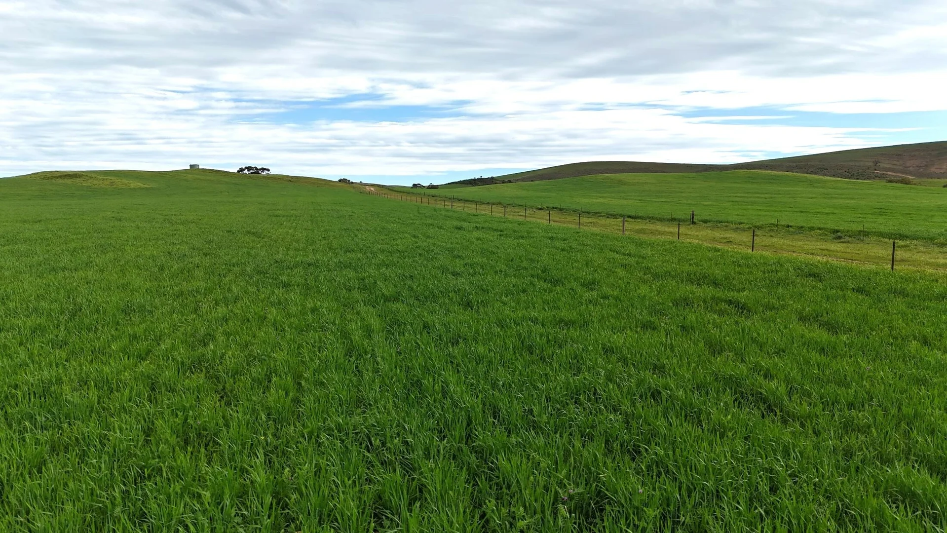 Additional image 4 of 'Broughton Valley' 1 Euromina Road, Broughton River Valley SA 5454