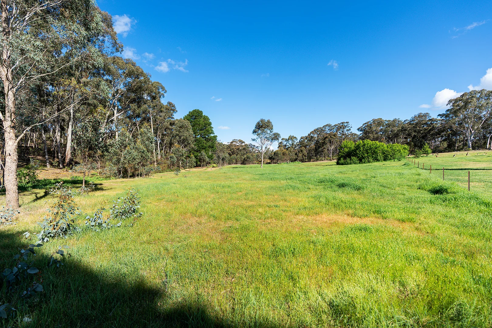 Additional image 5 of 2/222 Blakeley Road, Castlemaine VIC 3450