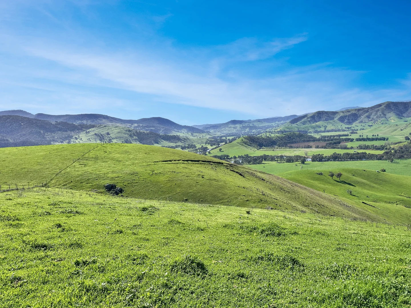 Additional image 5 of 5114 River Road, Jingellic NSW 2642