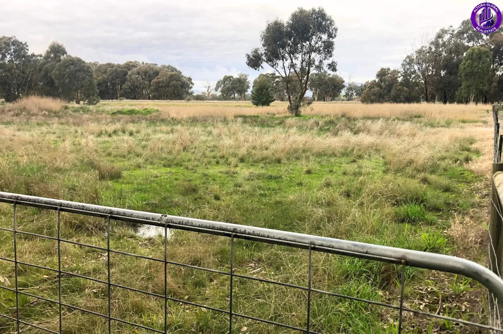 Additional image 2 of 49 HIGH STREET, Violet Town VIC 3669