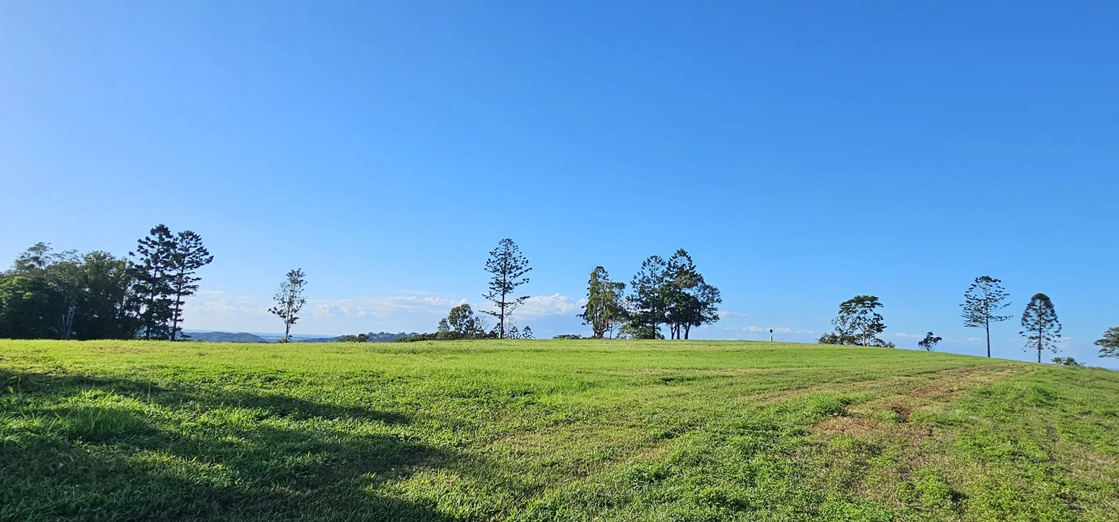 Additional image 20 of Dalwood NSW 2477