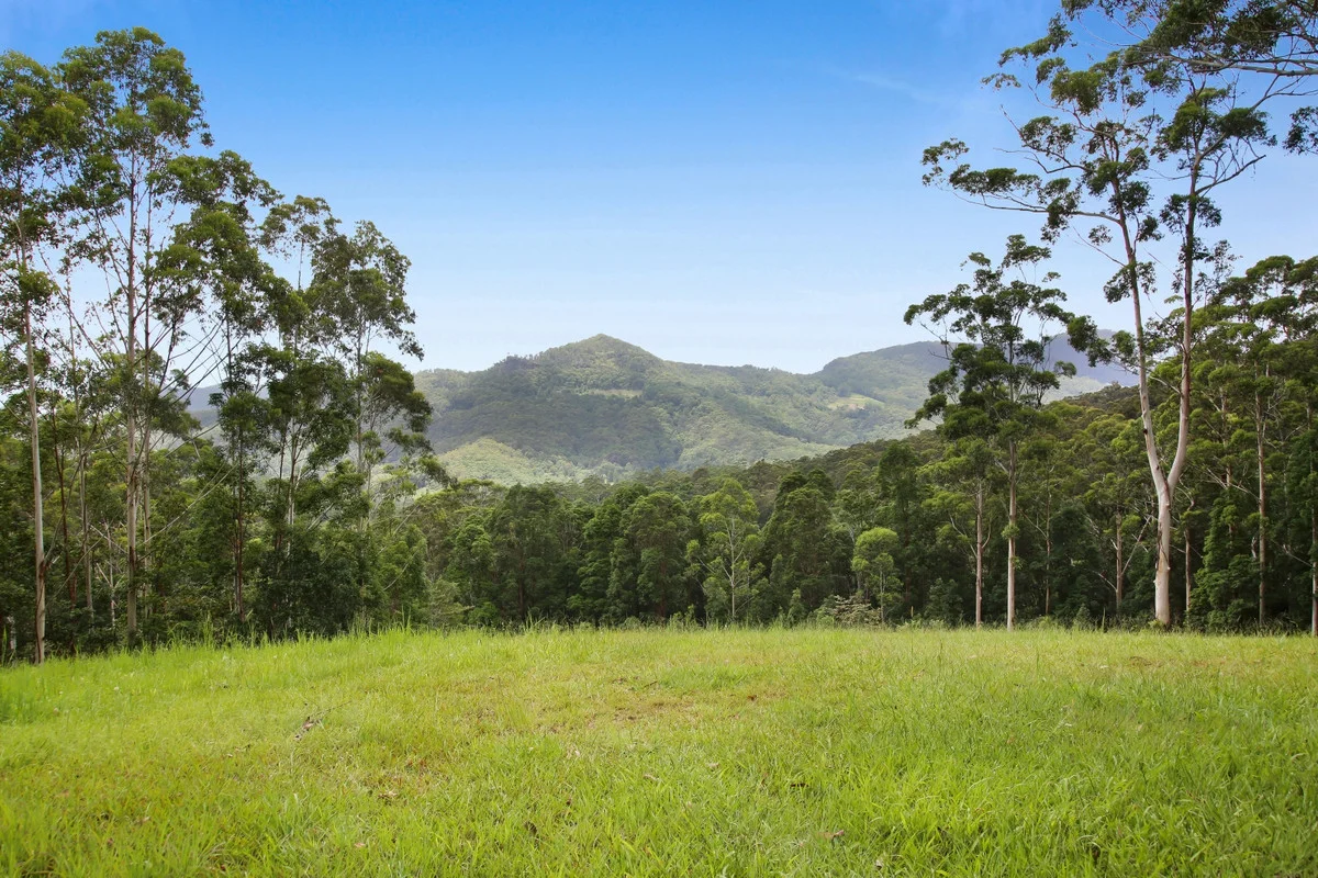 Additional image 29 of 138 Araluen Road, Tallebudgera Valley QLD 4228