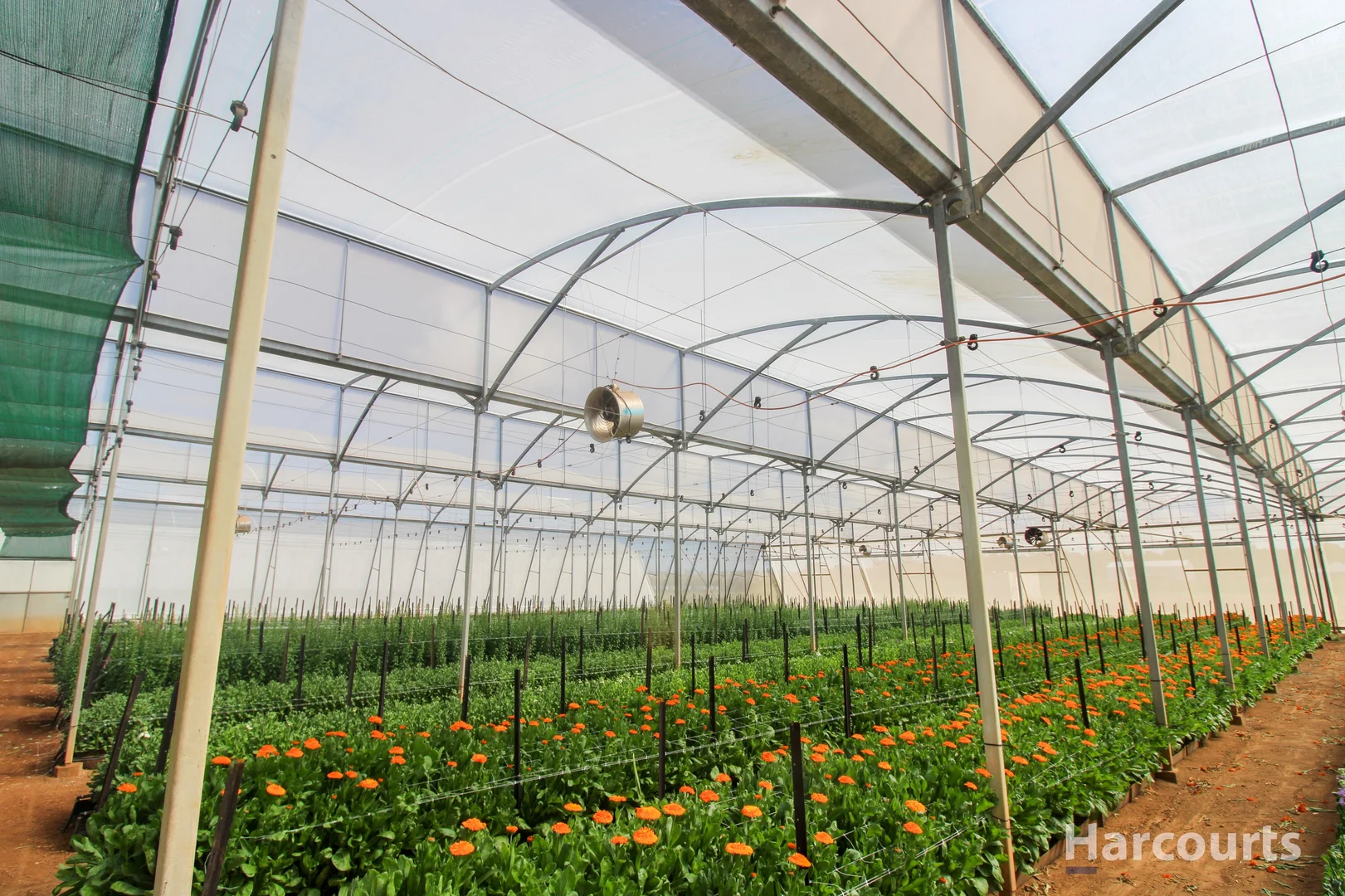 Additional image 24 of 106 Sheehans Road, Calavos QLD 4670