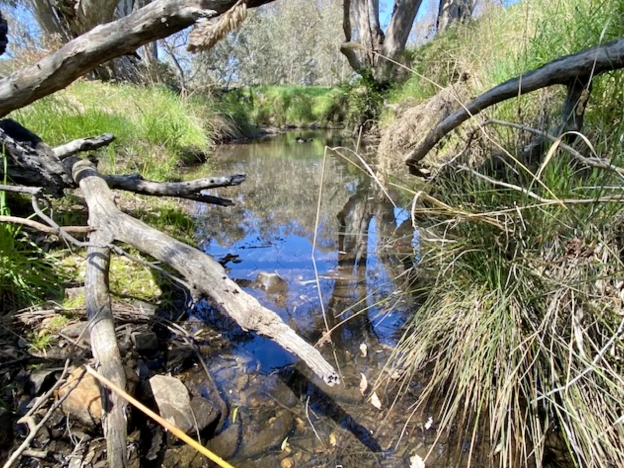 Additional image 16 of 1254 Axe Creek Road, Sedgwick VIC 3551