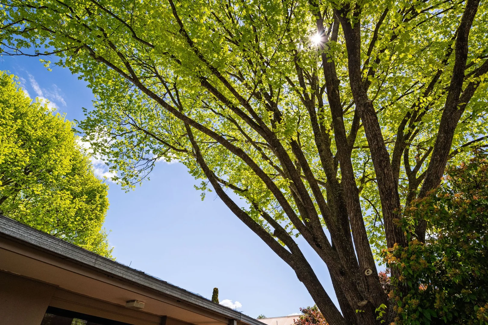 Additional image 16 of 64 Mountbatten Avenue, Bright VIC 3741