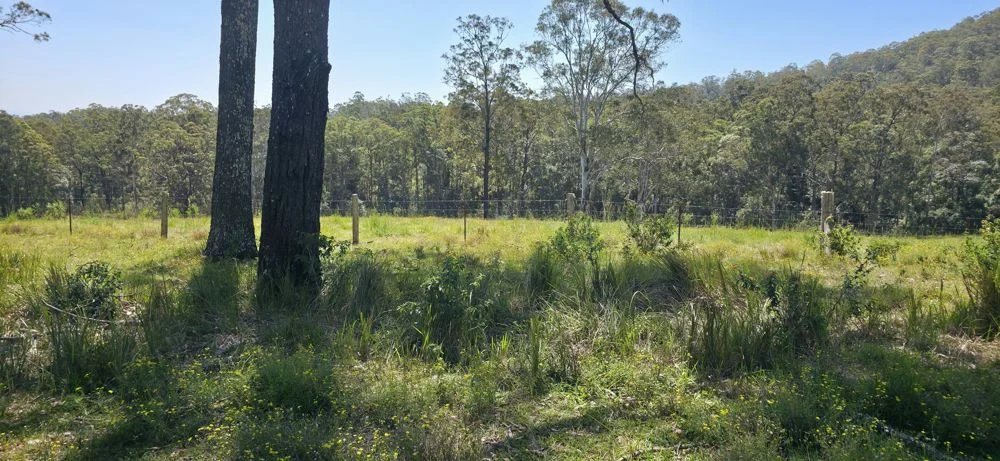 Additional image 3 of 1/310 Yessabah Rd, Yessabah NSW 2440