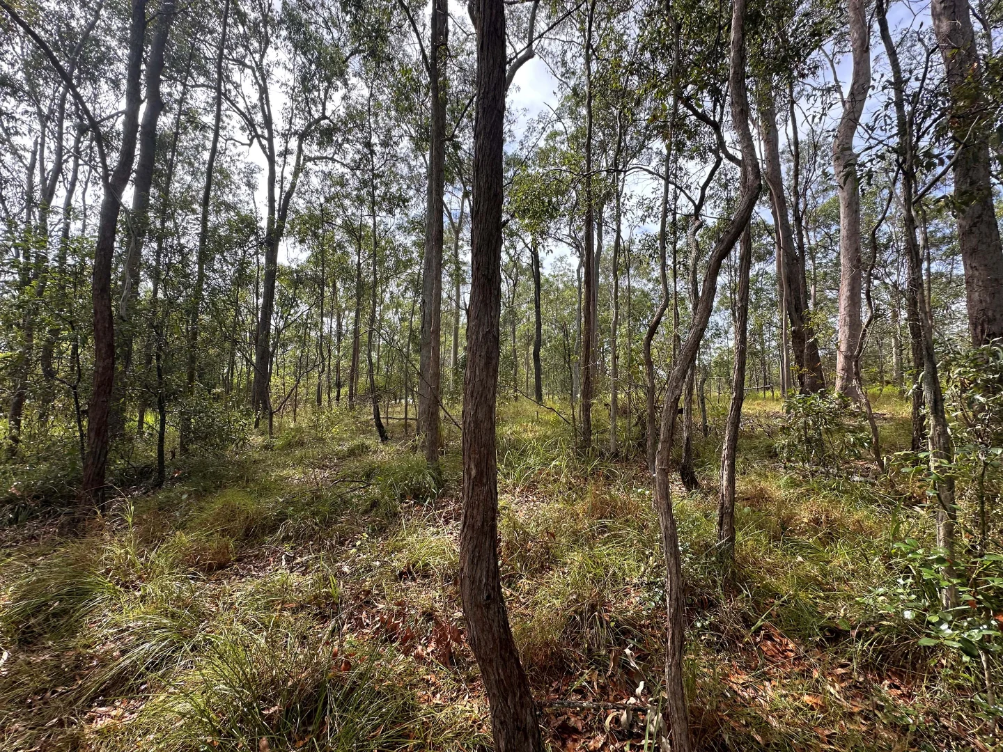 Additional image 6 of Lot 753 Arbortwenty eight, Glenwood QLD 4570