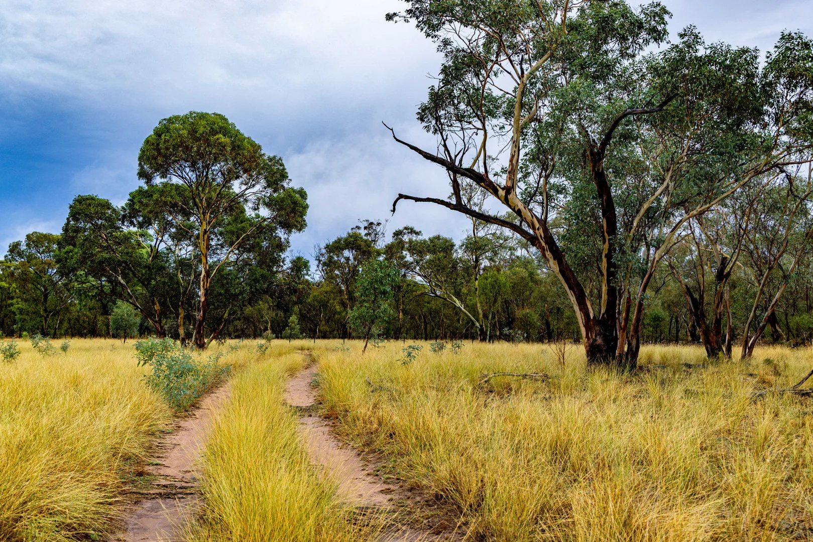 Additional image 12 of 'Woroona' & 'Tralee' 936 Boorr Hill Road, Parkes NSW 2870