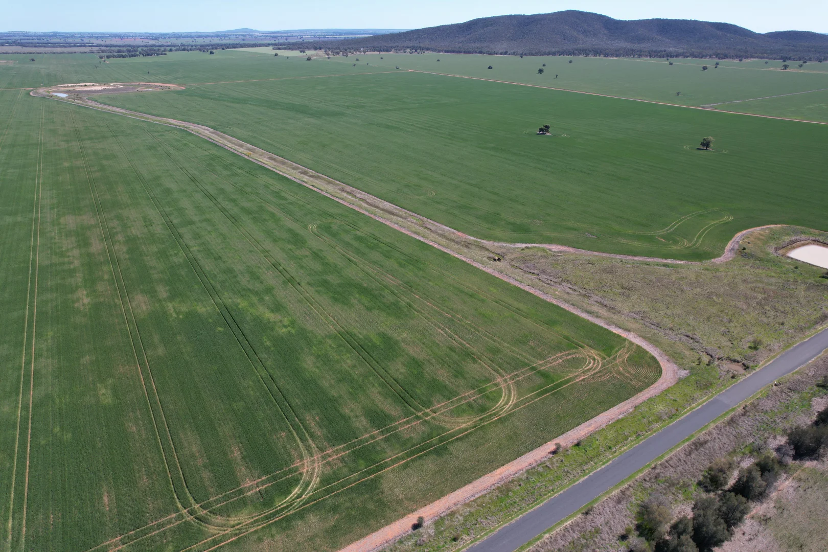 Additional image 14 of 2190 Yarrabandai Road, Trundle NSW 2875