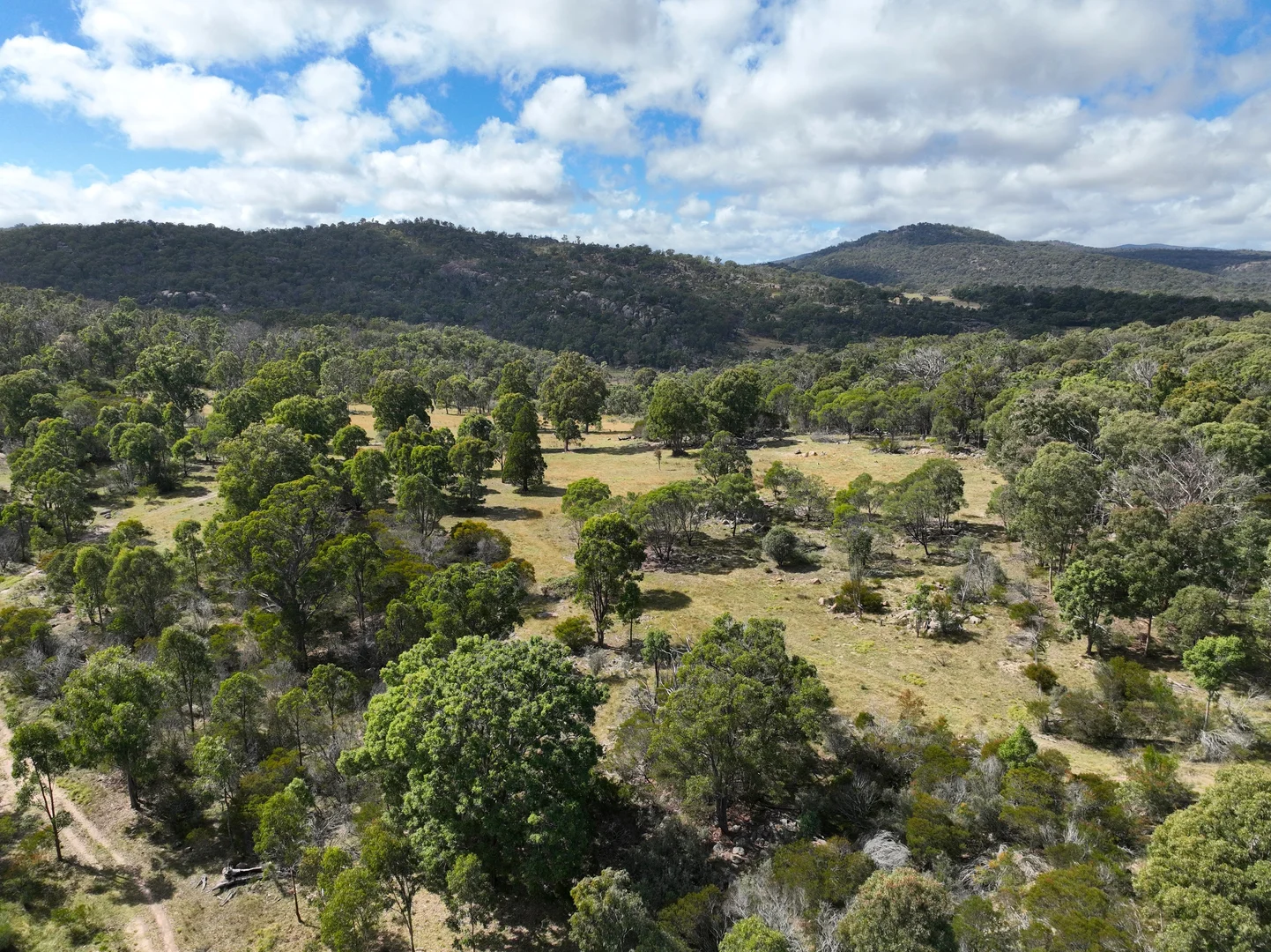 Additional image 34 of 128 McCowens Road, Deepwater NSW 2371