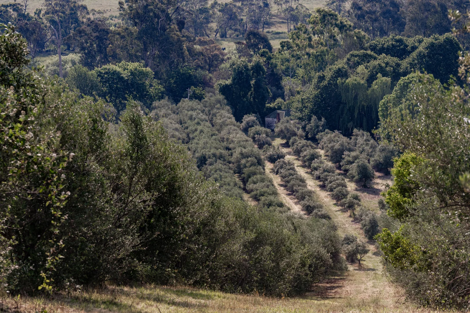 Additional image 4 of 528 Redbank Mongans Road, Mongans Bridge VIC 3691