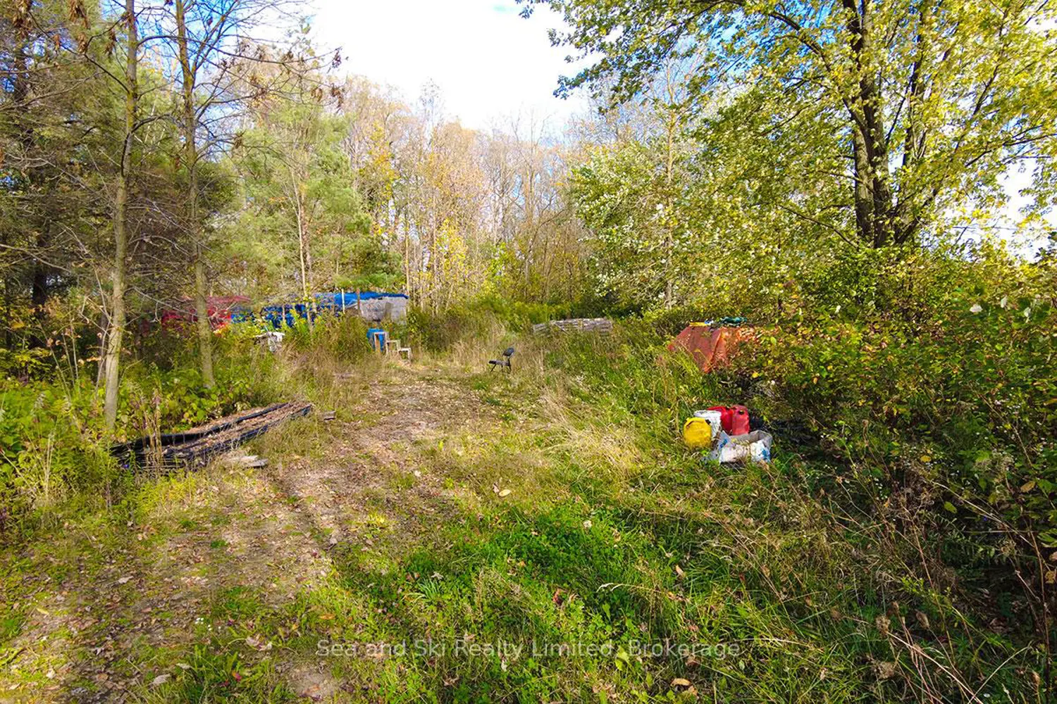 Additional image 8 of 31313 Grey Road 14 Road