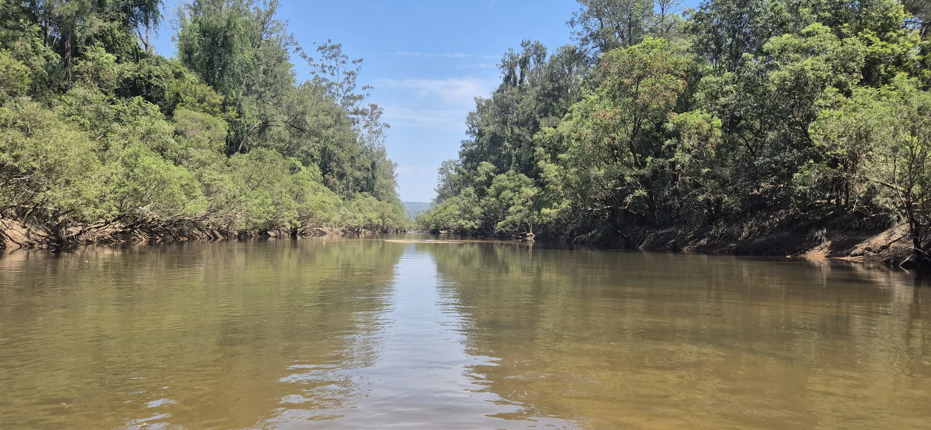 Additional image 8 of 306 Orara Road, Lanitza NSW 2460