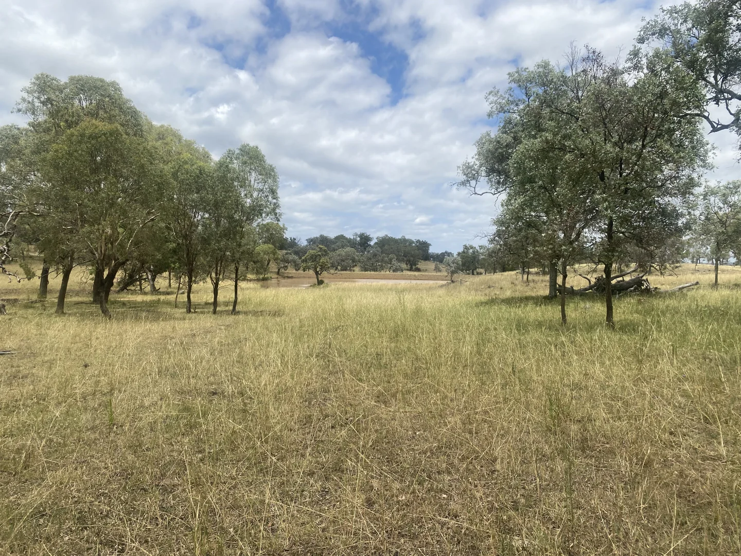 Additional image 9 of Lot 50 Rosenberger Road, Wyreema QLD 4352