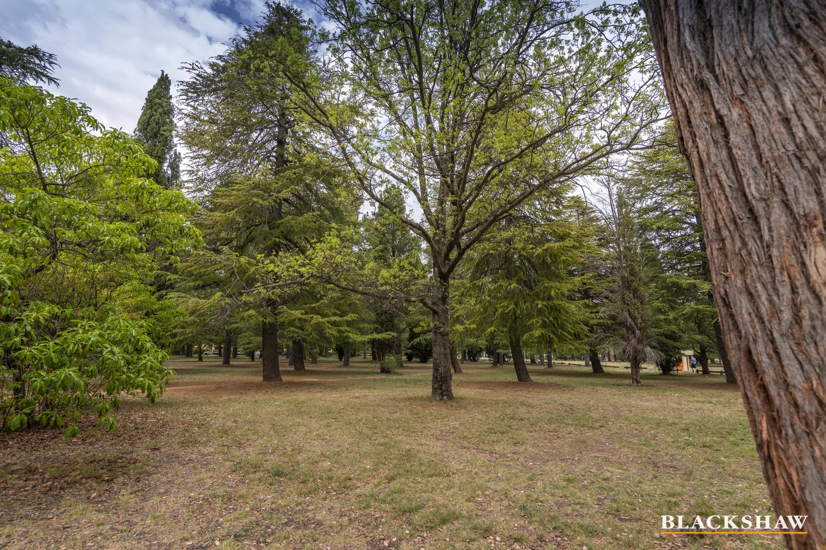 Additional image 19 of 7/42 Henty Street, Braddon ACT 2612