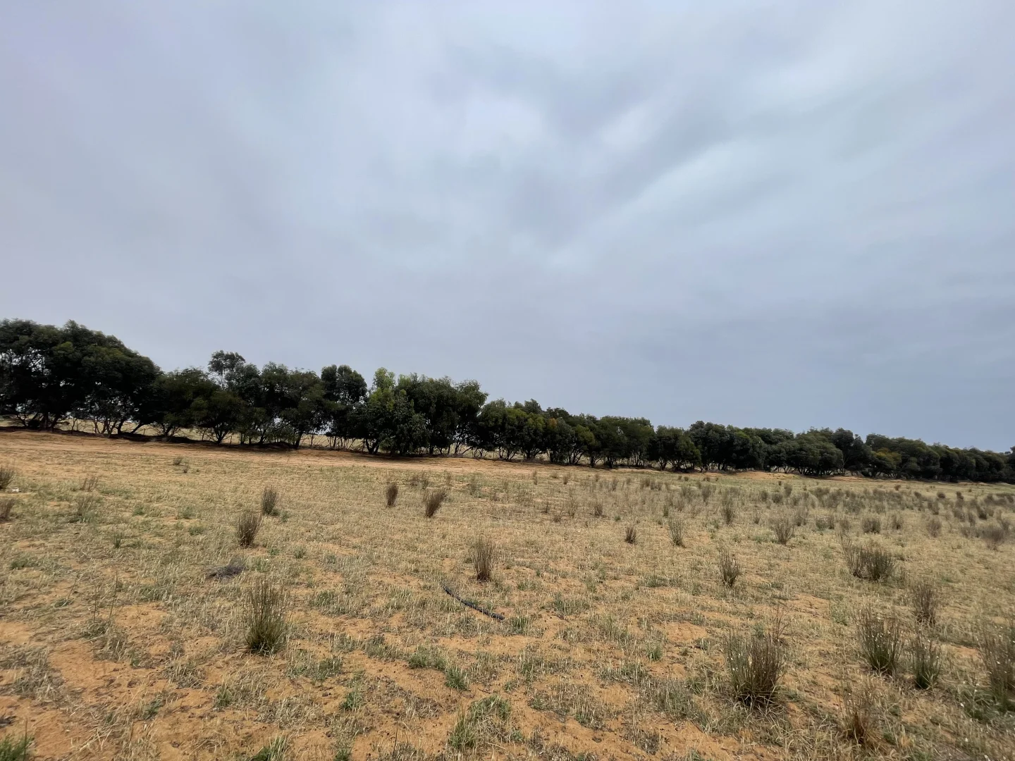 Additional image 13 of 2440 Black Hill Road, Black Hill SA 5353