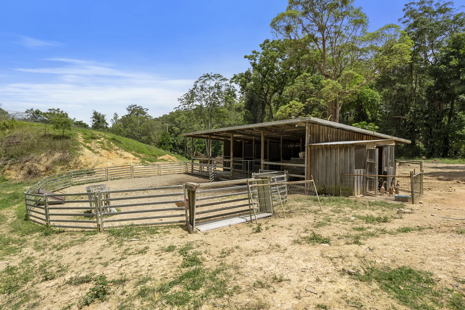 Additional image 13 of 192 Booka Road, Upper Crystal Creek NSW 2484
