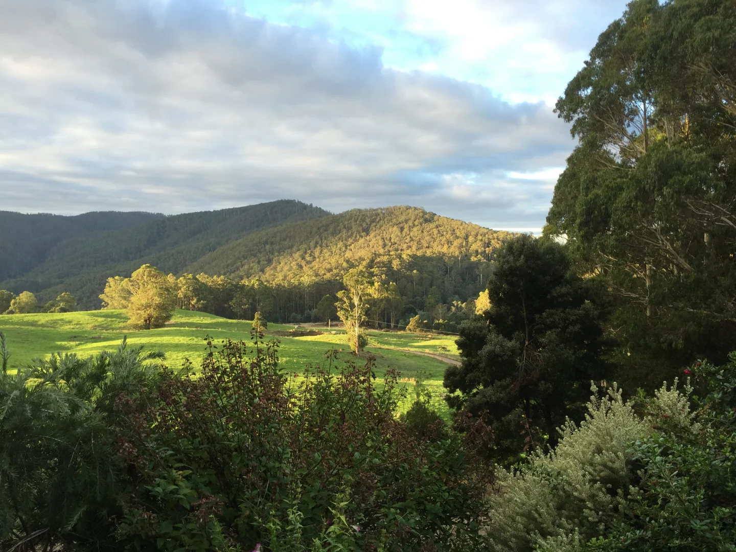 Additional image 34 of 130 Raymond Road, Gunns Plains TAS 7315