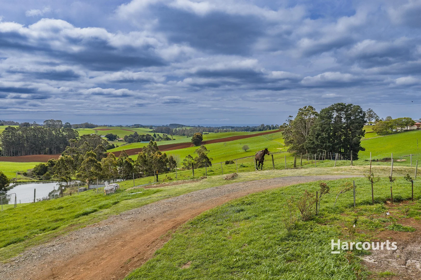 Additional image 31 of 734 Ridgley Highway, Ridgley TAS 7321