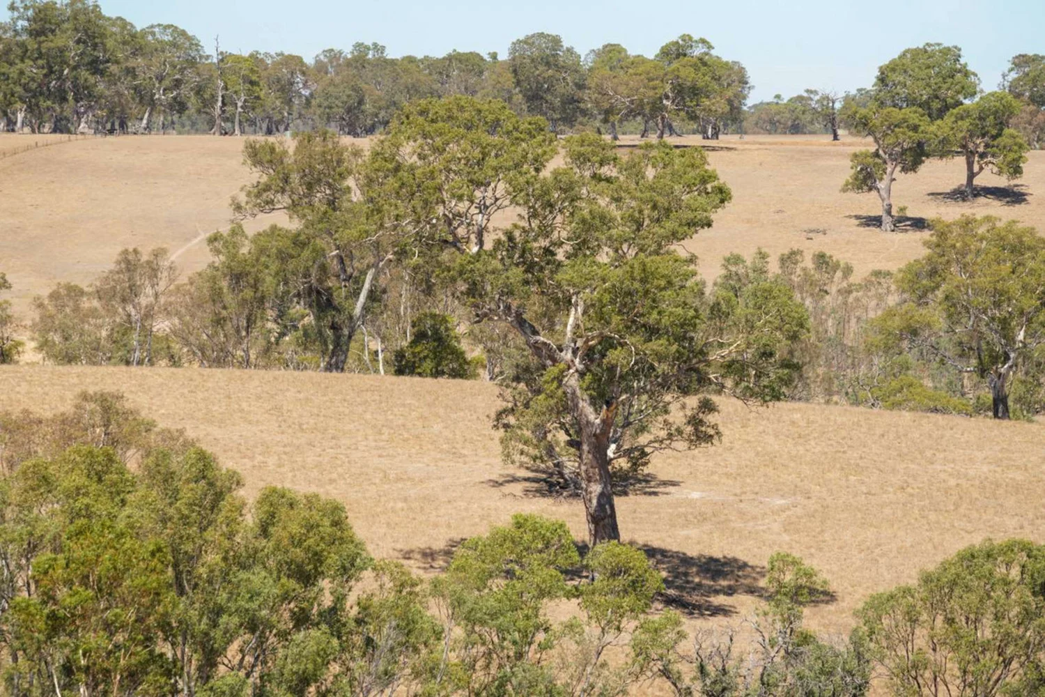 Additional image 14 of 3593 Nareen Road, Culla VIC 3315