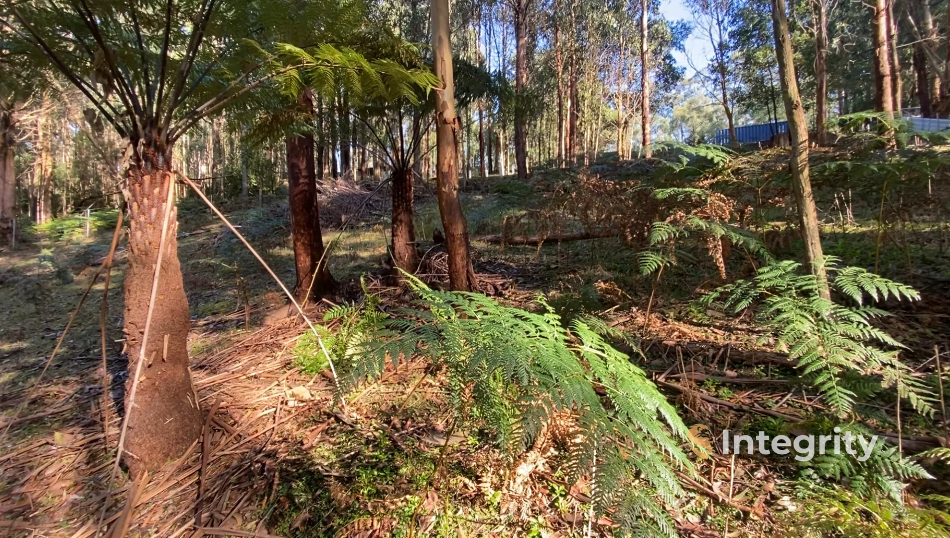 Additional image 28 of 47 Bald Spur Road, Kinglake VIC 3763