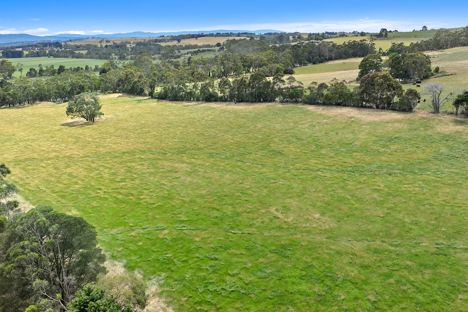 Additional image 32 of 31 Jagoe Road, Ripplebrook VIC 3818