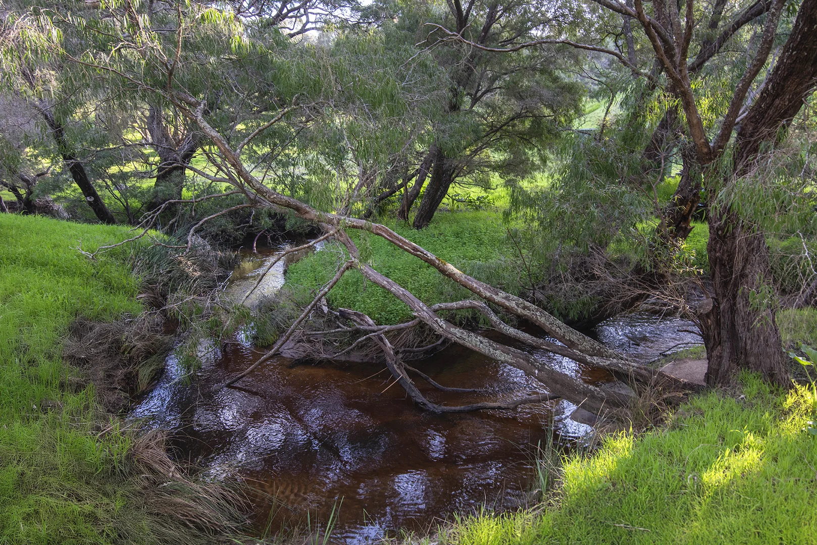 Additional image 23 of 176 Gunyulgup Valley Drive, Yallingup WA 6282