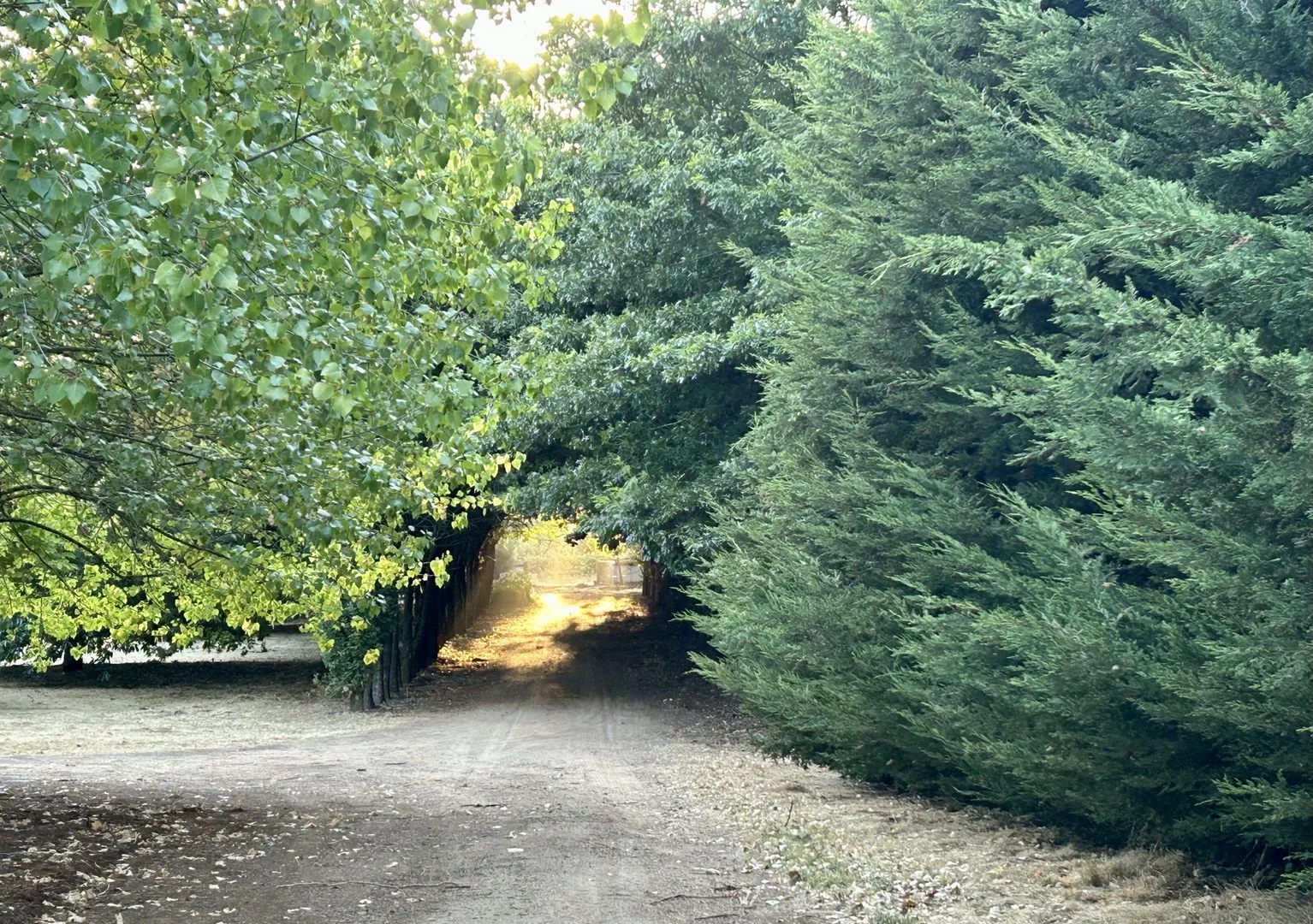 Additional image 6 of 640 James Lane, Trentham East VIC 3458