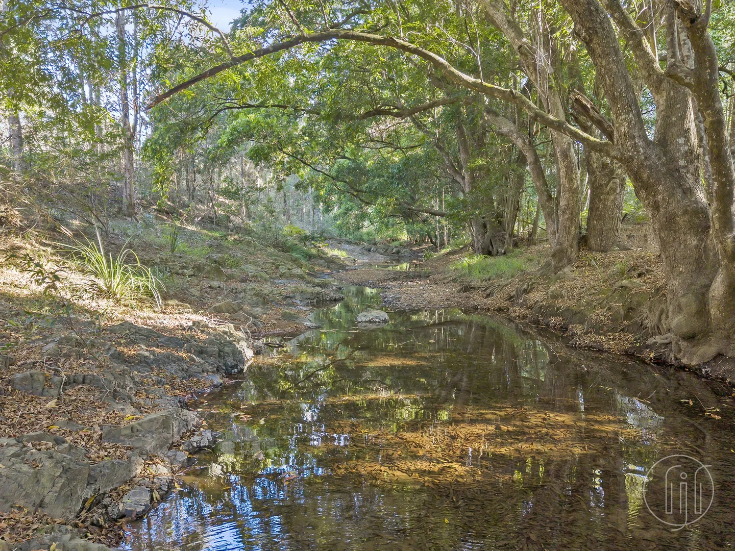 Additional image 26 of 299 Kidaman Creek Road, Kidaman Creek QLD 4574