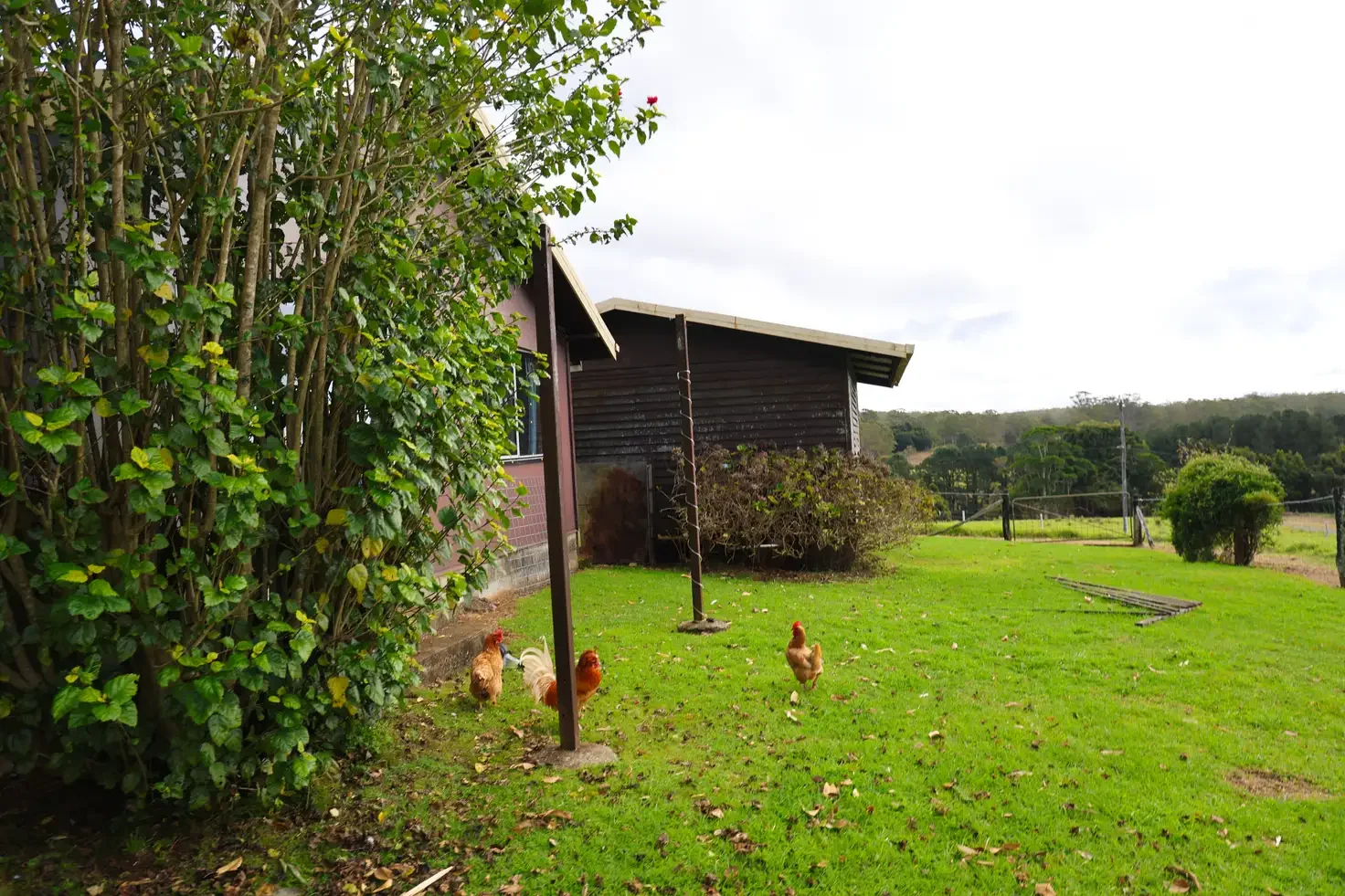 Additional image 18 of Lot 13/400 Bellthorpe West Road, Bellthorpe QLD 4514