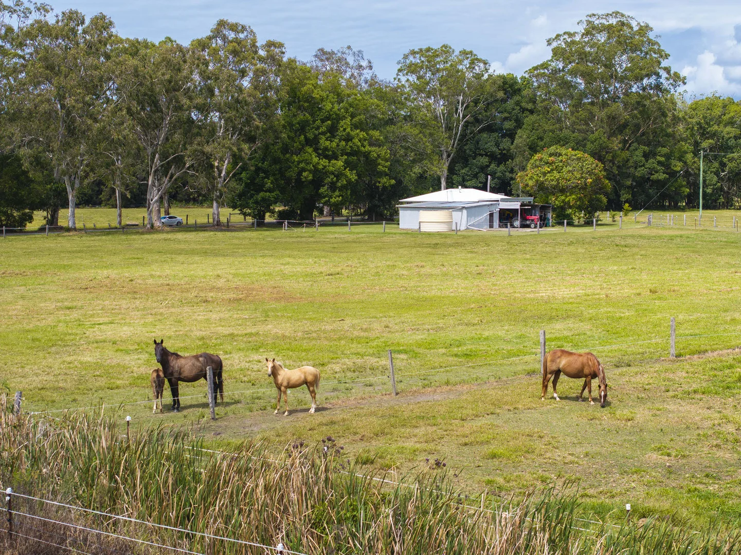 Additional image 30 of 406 Old Bagotville Road, Bagotville NSW 2477