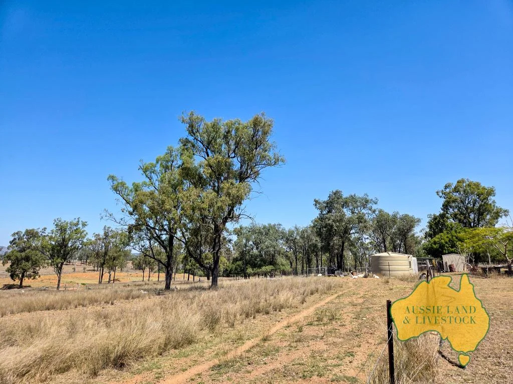 Additional image 41 of 110 BENHAMS ROAD, Mundubbera QLD 4626