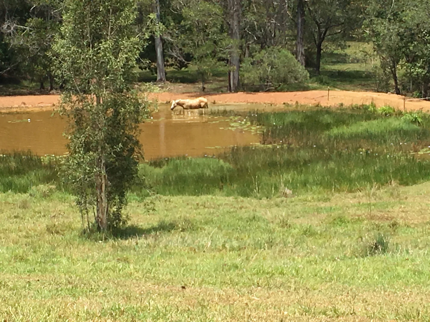 Additional image 7 of Cootharaba QLD 4565