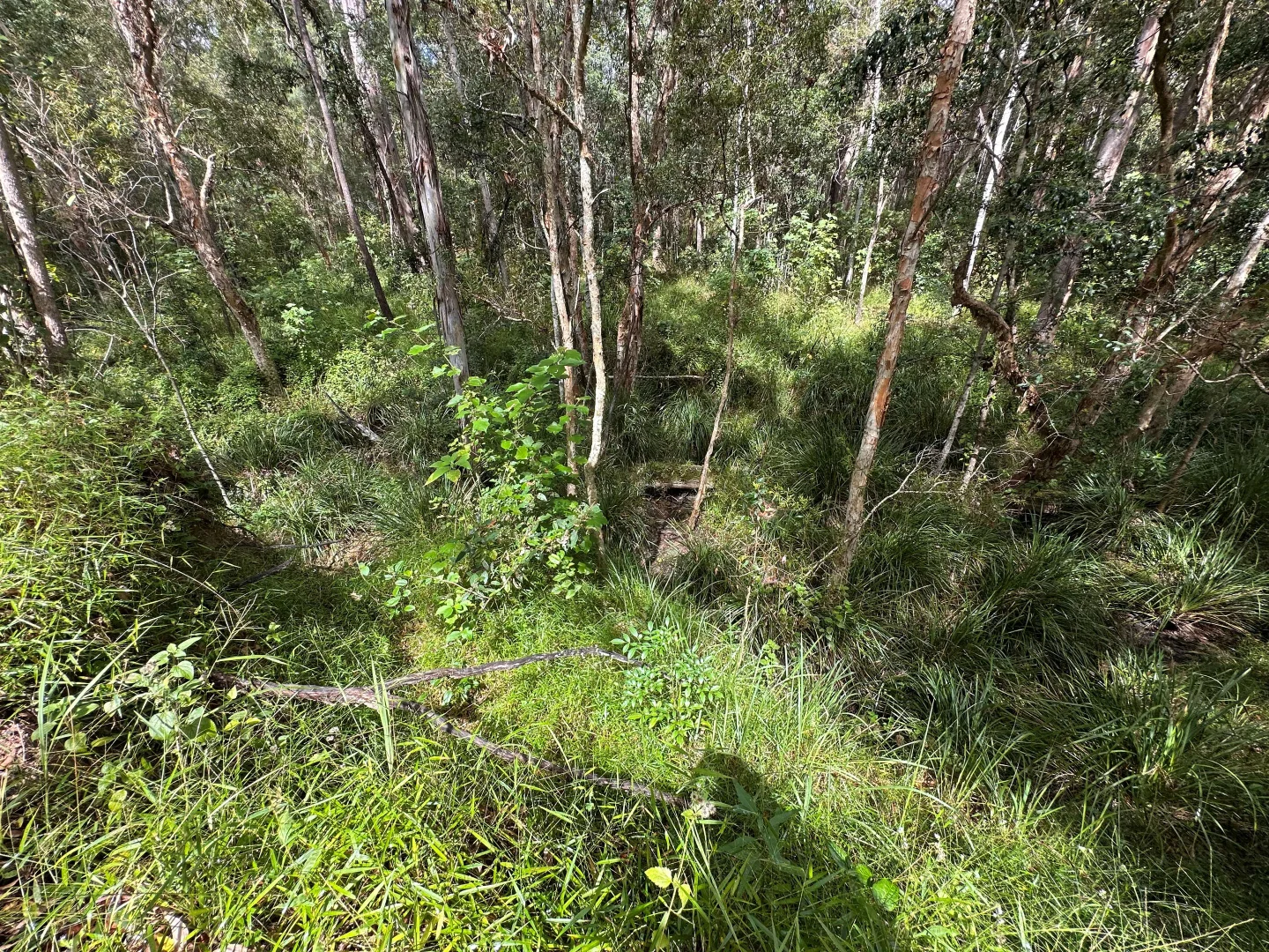 Additional image 9 of Lot 753 Arbortwenty eight, Glenwood QLD 4570