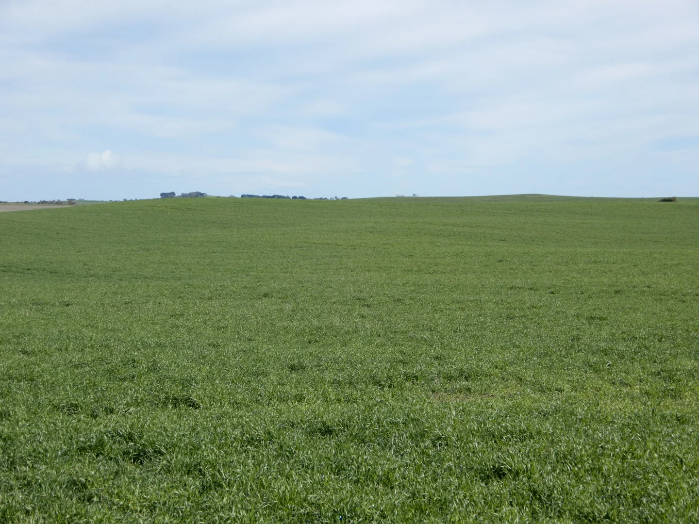 Additional image 25 of 252 Jabez Williams Road, Meningie SA 5264