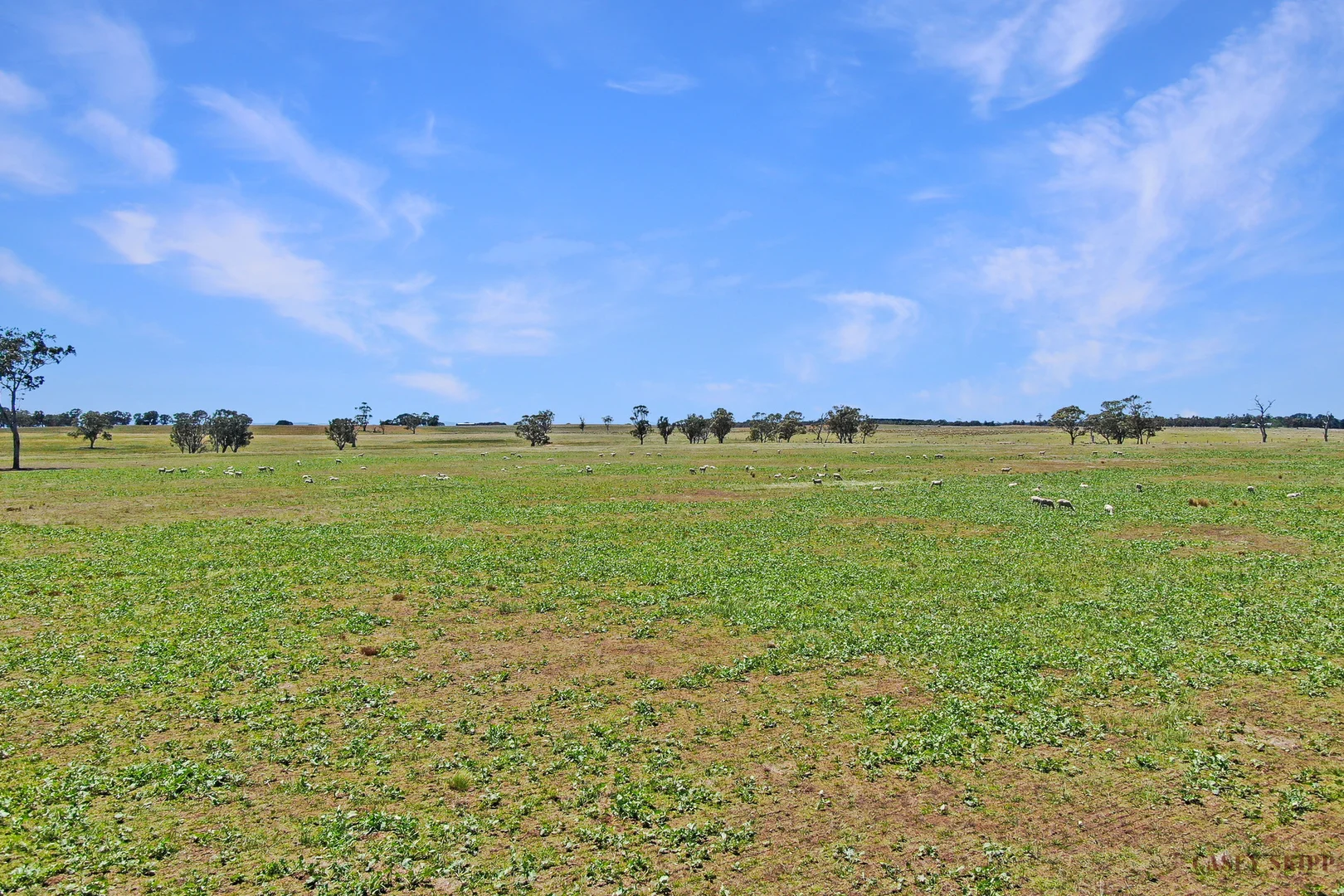 Additional image 4 of 3 Roseneath Road, Meerlieu VIC 3862