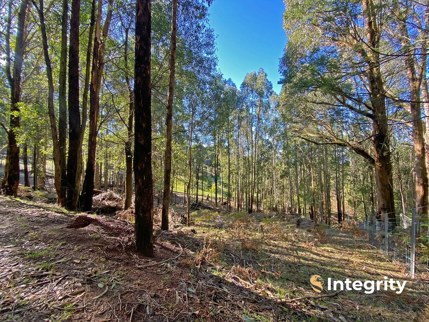 Additional image 3 of 47 Bald Spur Road, Kinglake VIC 3763