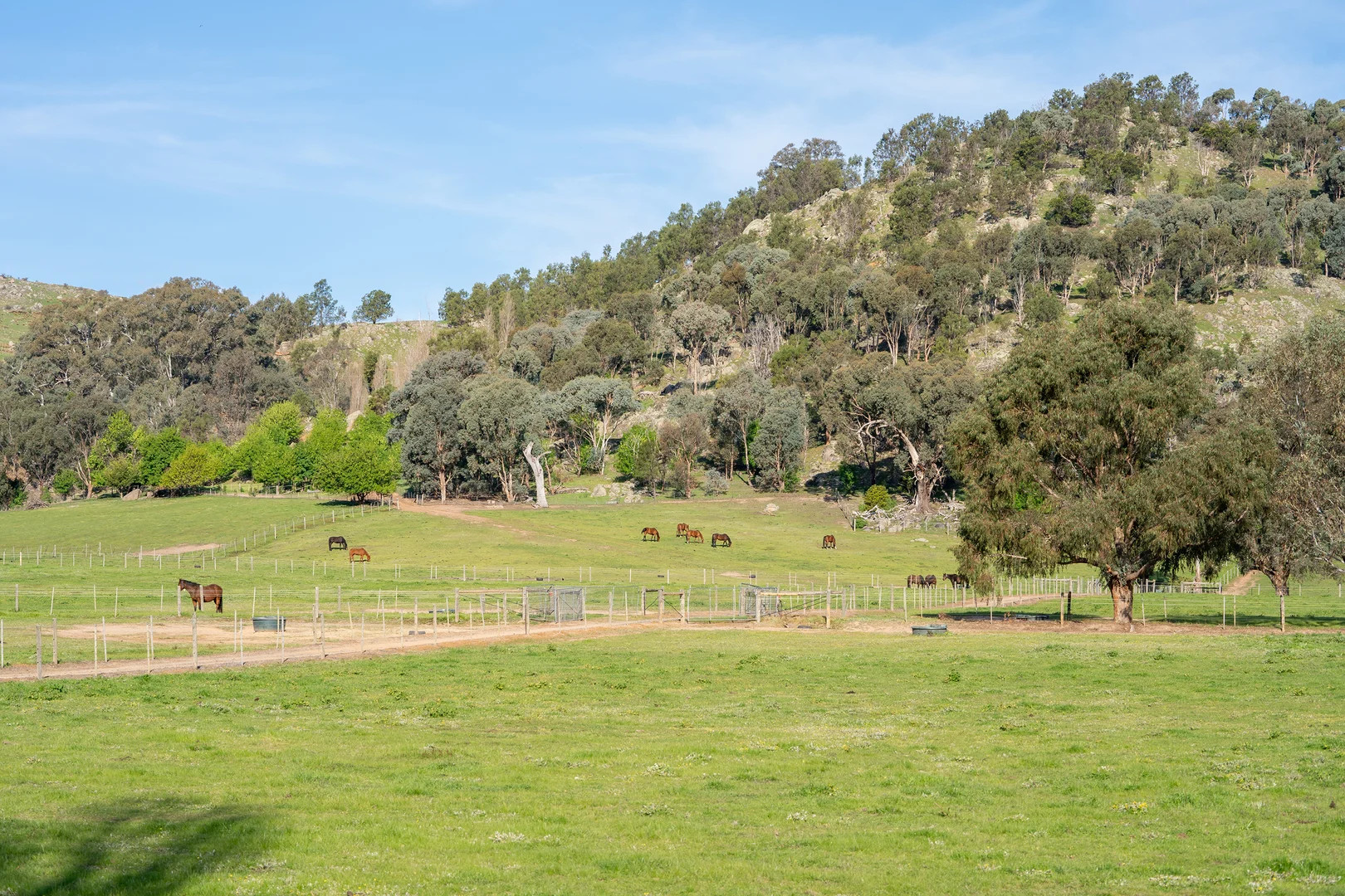 Additional image 11 of 304 Sheans Creek Road, Sheans Creek VIC 3666