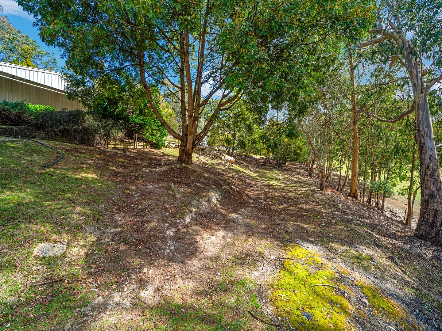 Additional image 46 of 338 White Hill Road, Forcett TAS 7173