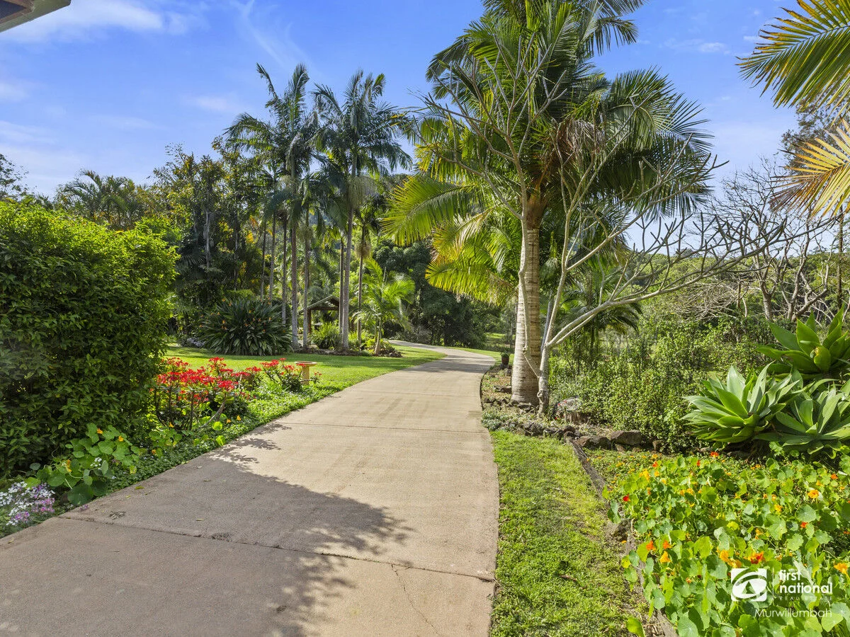 Additional image 14 of 39 Solomons Road, Mount Warning NSW 2484