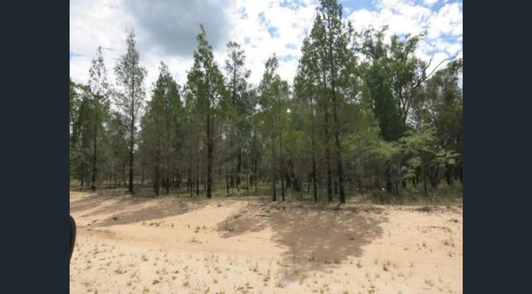 Additional image 3 of Lot 24 Bulloak Drive, Kumbarilla QLD 4405