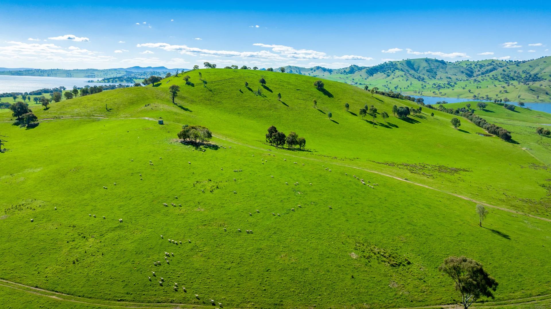 Additional image 25 of 'Inglebrae'/1523 Murray River Rd, Talgarno VIC 3691