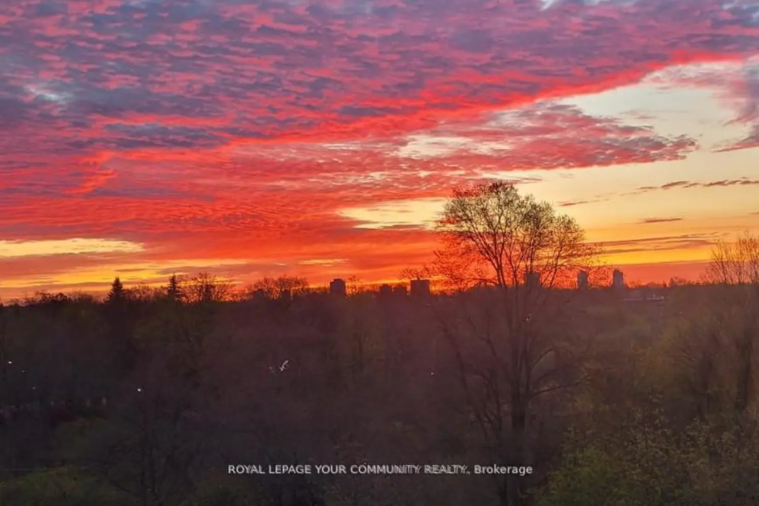 Additional image 7 of 825 Church Street 611