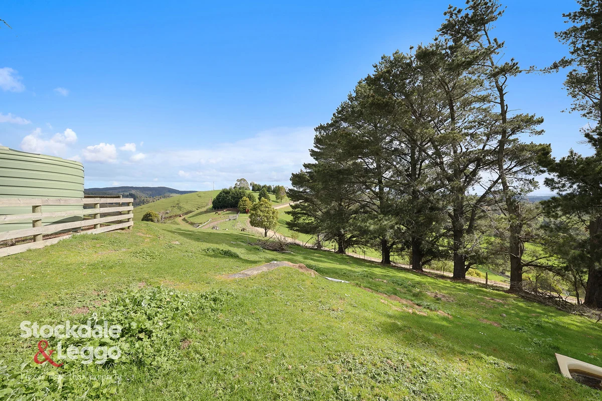 Additional image 23 of 265 Townsends Road, Budgeree VIC 3870