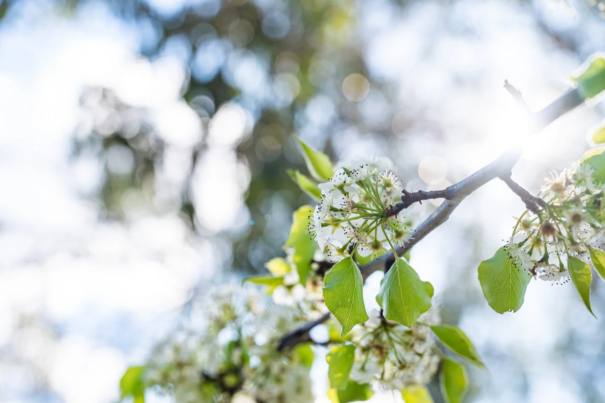 Additional image 19 of 108 Delaneys Lane, Hansonville VIC 3675