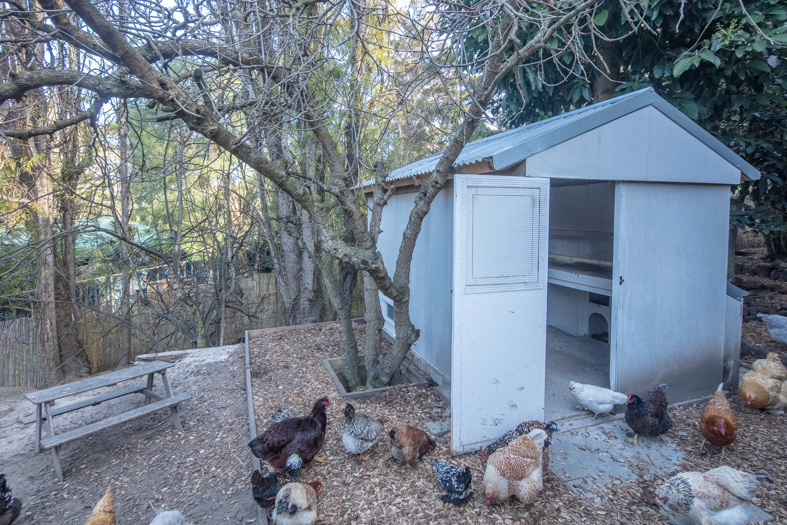 Additional image 29 of 49 Bracknell Crescent, Denmark WA 6333