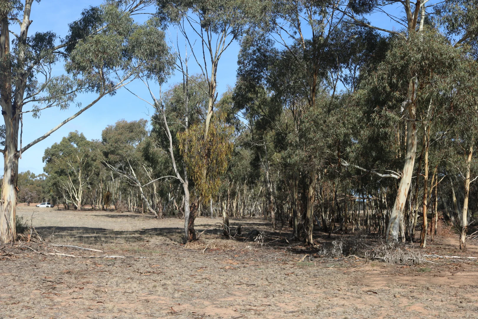Additional image 22 of Old Boort Road, Wedderburn VIC 3518