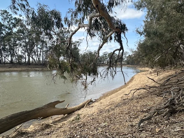 Additional image 10 of 456 RIVER ROAD, Gonn Crossing VIC 3579